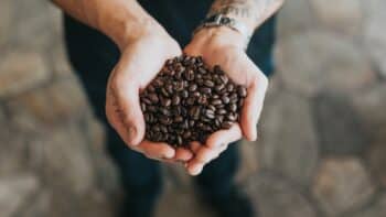 Does Darker the Roasts mean More Caffeine?