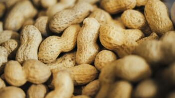 Do Peanuts Go Bad? How Long Do They Last?