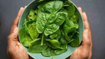 Does Spinach Go Bad? How Long Do They Last?