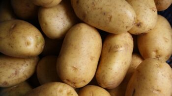 Do Potatoes Go Bad? How Long Do They Last?
