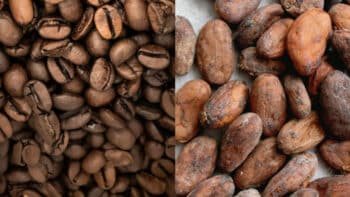 Coffee Vs Cacao: Difference & Similarities Between Them
