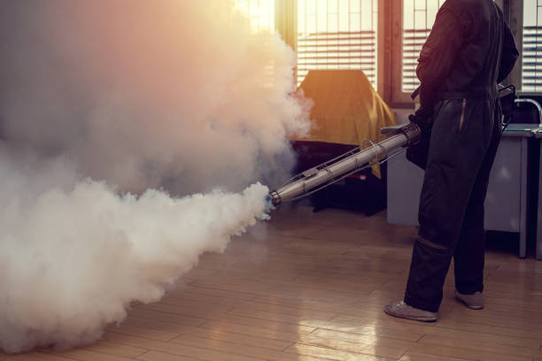 Fogging to eliminate mosquito for preventing spread dengue fever in the room