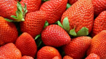 Do Strawberries Go Bad? How Long Do They Last?