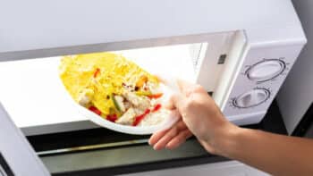 Can You Microwave Paper Plates? Is It Safe? Find Out