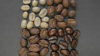Different Types of Coffee Roasts Explained