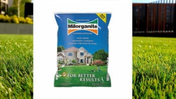 How Long Does Milorganite Take To Work On A Lawn?