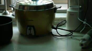 How Long Does It Take Rice To Cook in a Rice Cooker