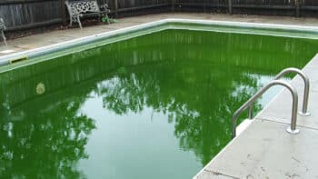 How Long Does It Take Algae to Grow in a Pool? Safeguard Your Swimming Experience!