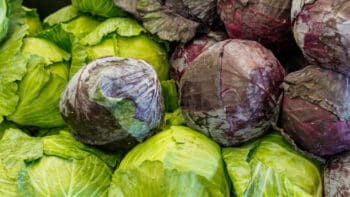 How Long Does Cabbage Last?