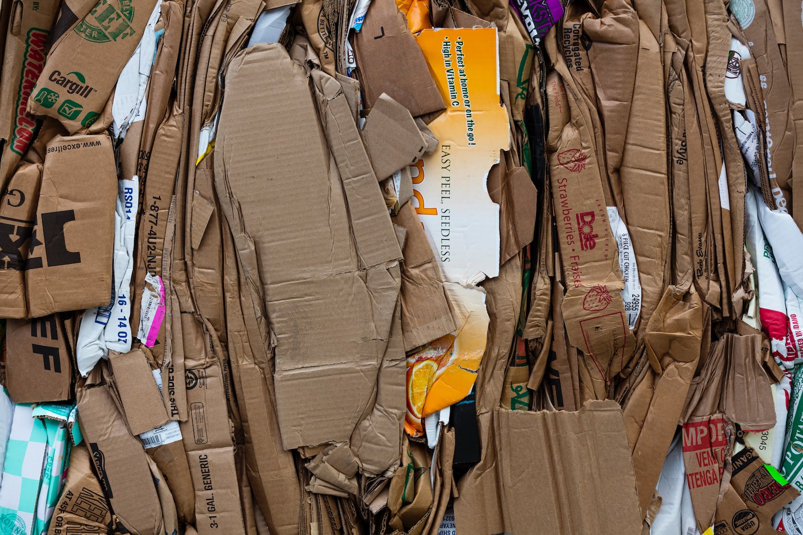 Why Understanding the Decomposition of Cardboard Matters to You and the Planet